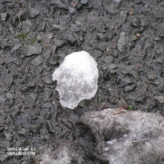 [submission313b.jpg]