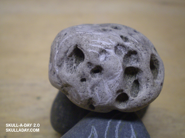 [submission328b.jpg]