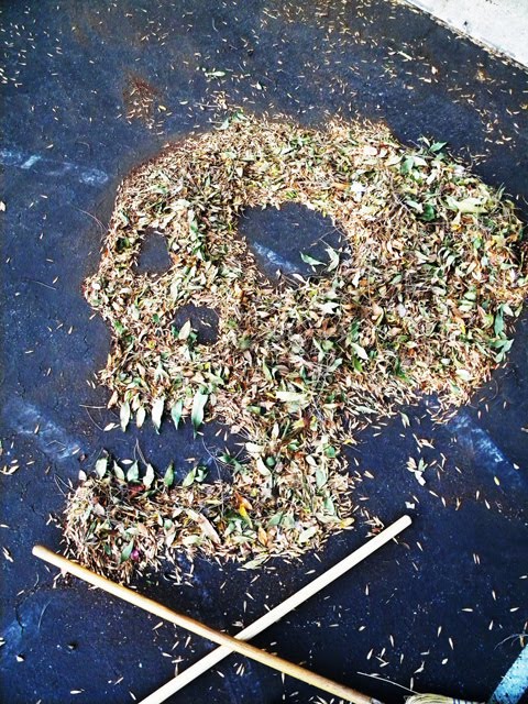 [#11+skull+leaves+and+sticks.jpg]