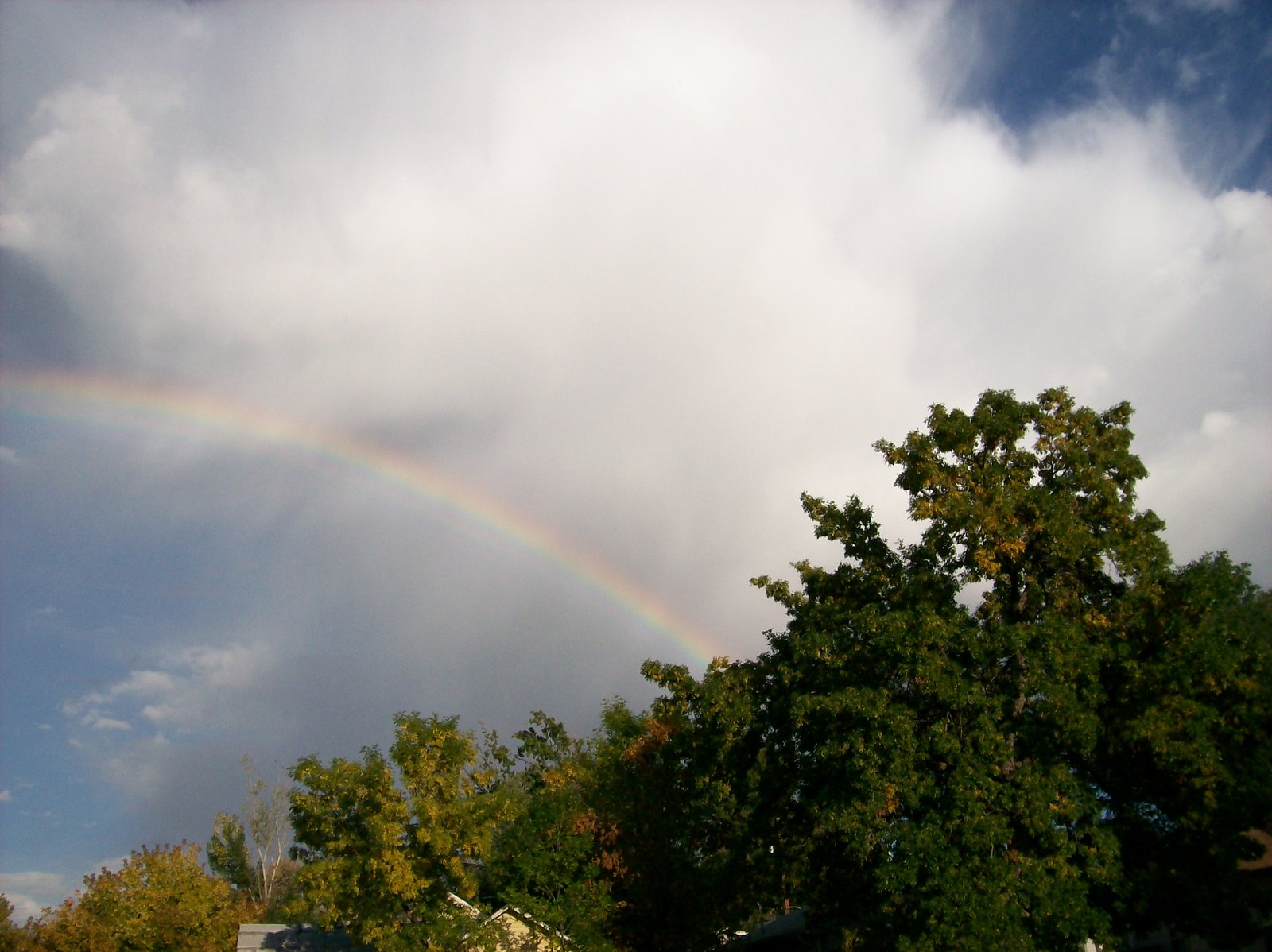 [Colorado+Rainbow.jpg]