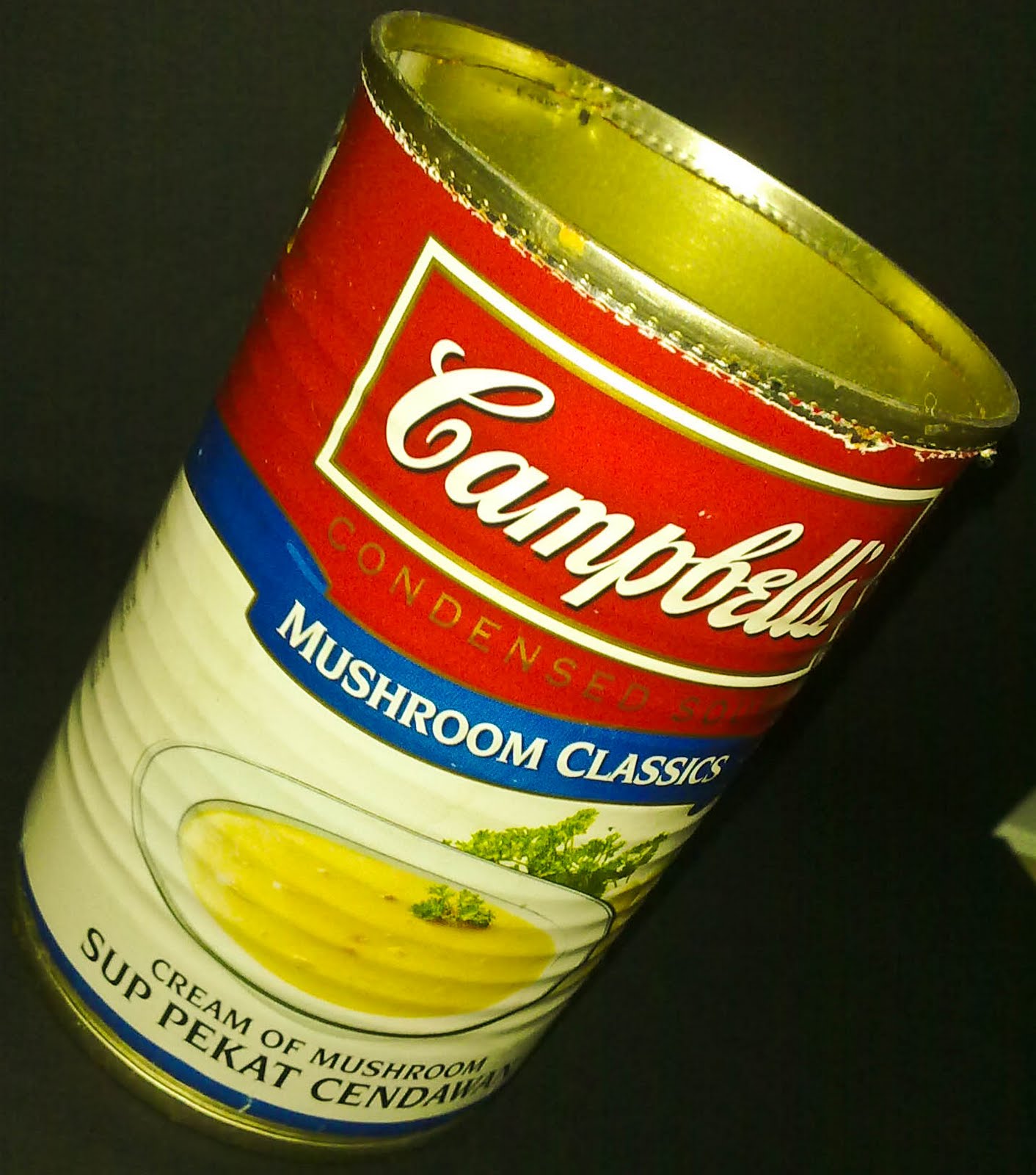 Pasteldaisies Craft Campbell's Soup Can to Pen Holder