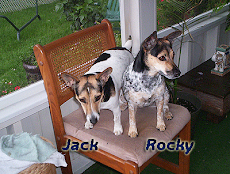 Jack & Rocky