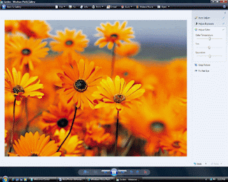 Image Editing Softwares