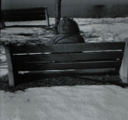 The Bench taken with Diana+ camera