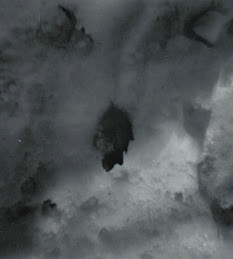 Leaf in snow 2008 taken with Diana+