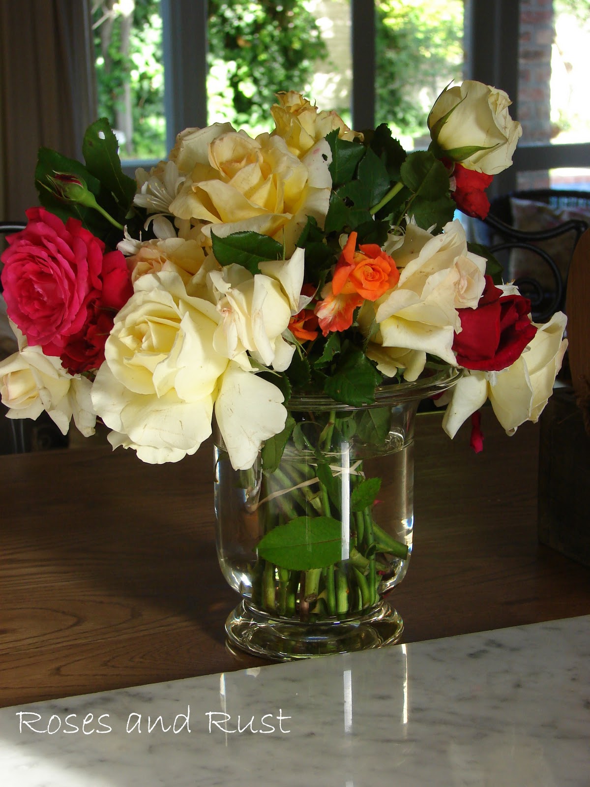 Roses and Rust: Why Roses and Rust?