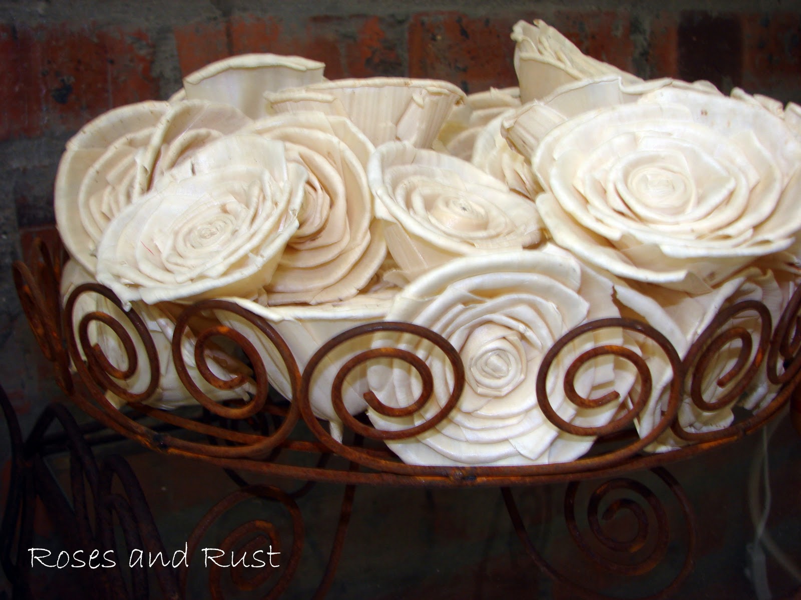 Roses and Rust: Why Roses and Rust?