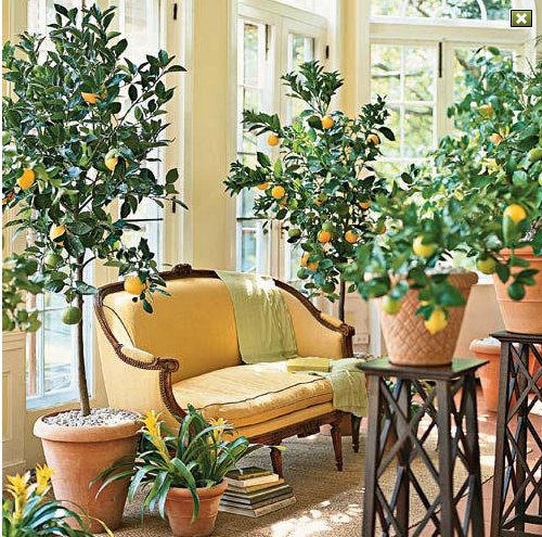 [ornagerysouthern+accents.bmp]