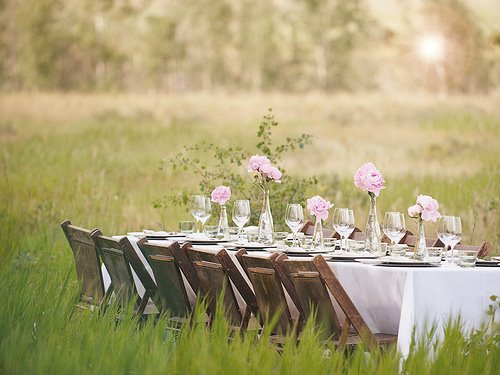 [amanda+prattviack.jpg]