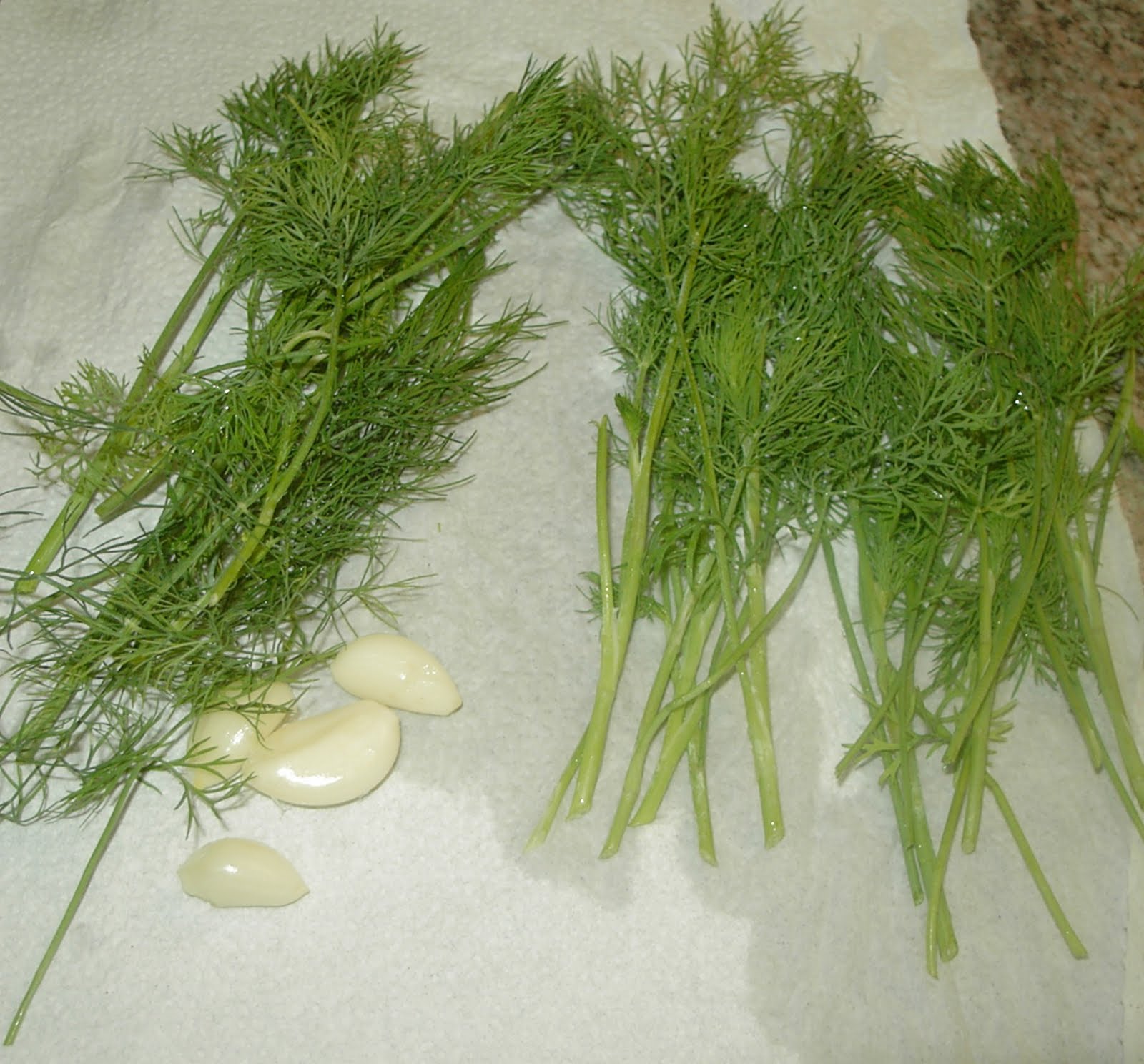 Gardening In Slippers Cucumbers = Dill Pickles