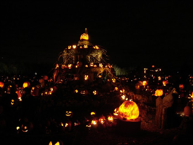 Jack-o-lanterns, in all their glory