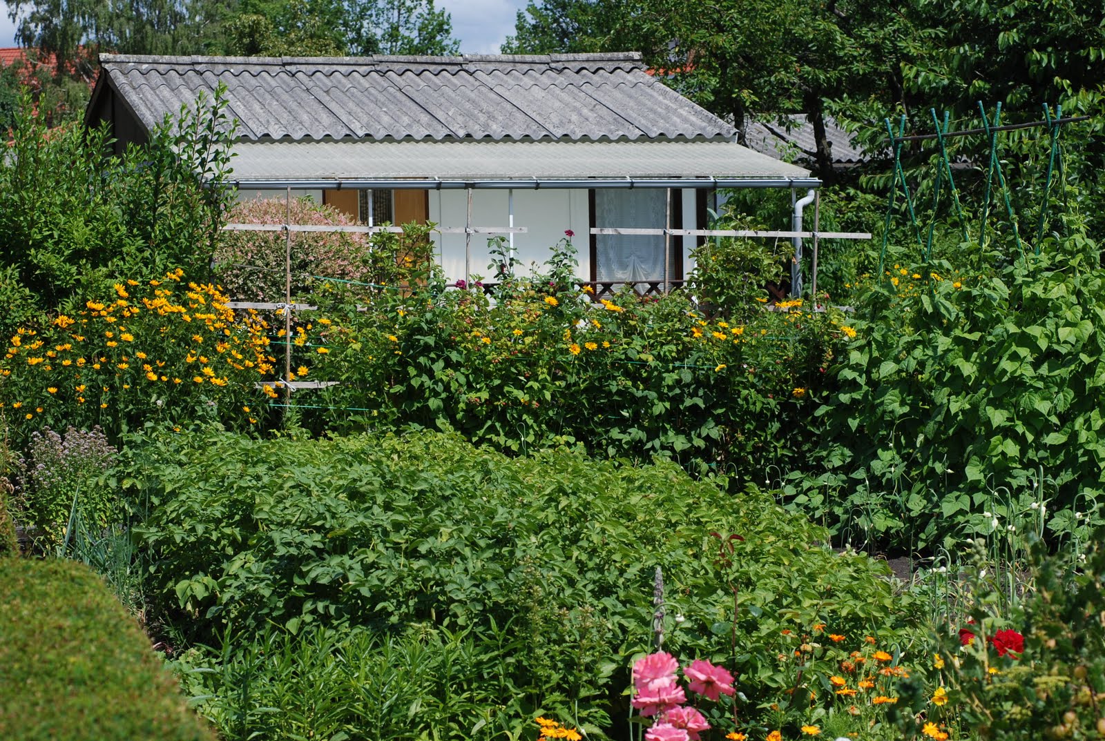 Lifestyle Garden Lessons of European Allotment Gardens