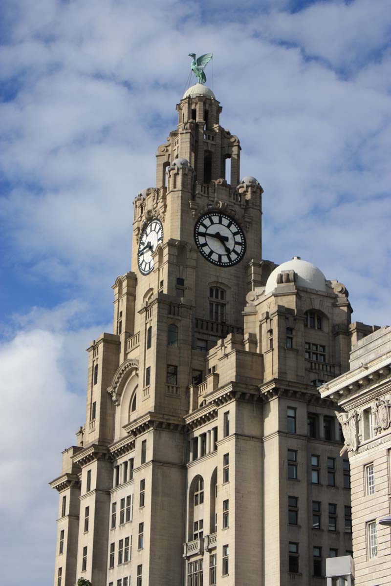 [liver+building.jpg]