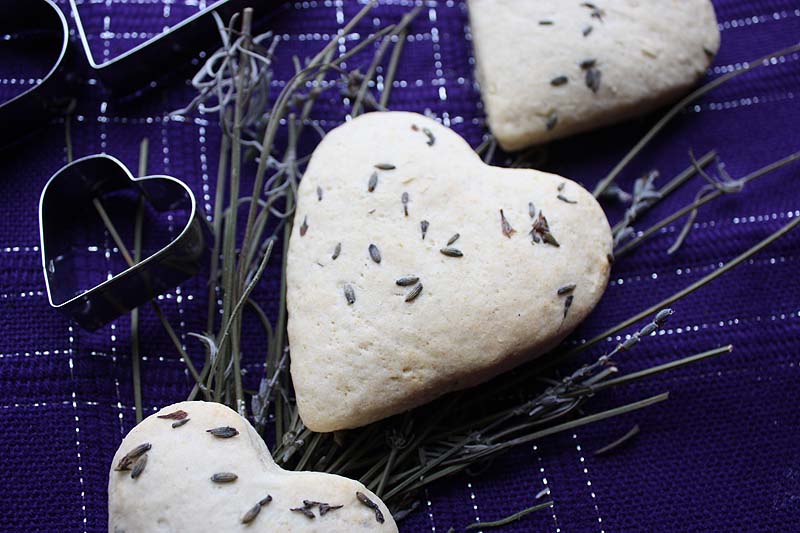 [LavenderCloseUp.jpg]