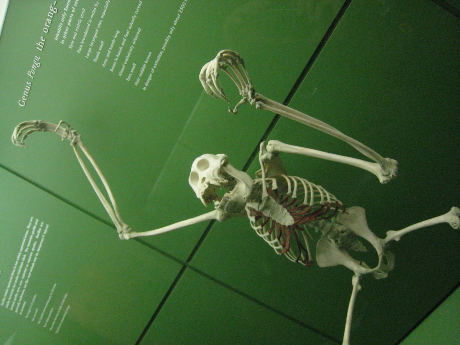 [IMG_0942.JPG]