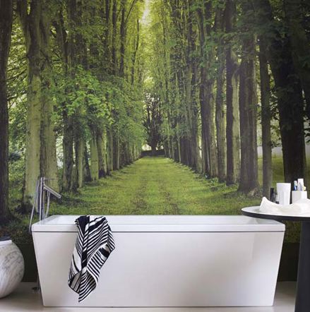 Bathroom Plans on Svk Interior Design  Great Wallpaper Ideas For The Bathroom