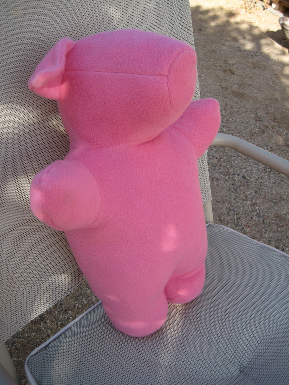[Stuffed+Pinky.JPG]