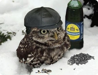 beer+owl.jpg