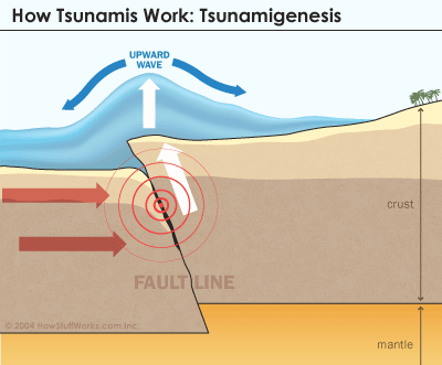 tsunami formation Tsunami: Antara Kesiapan Tekonologi dan Mental 