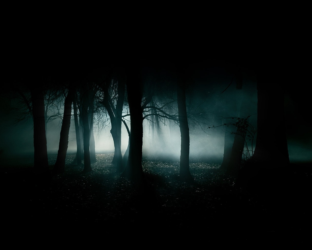 [dark-forest-night-image.jpg]