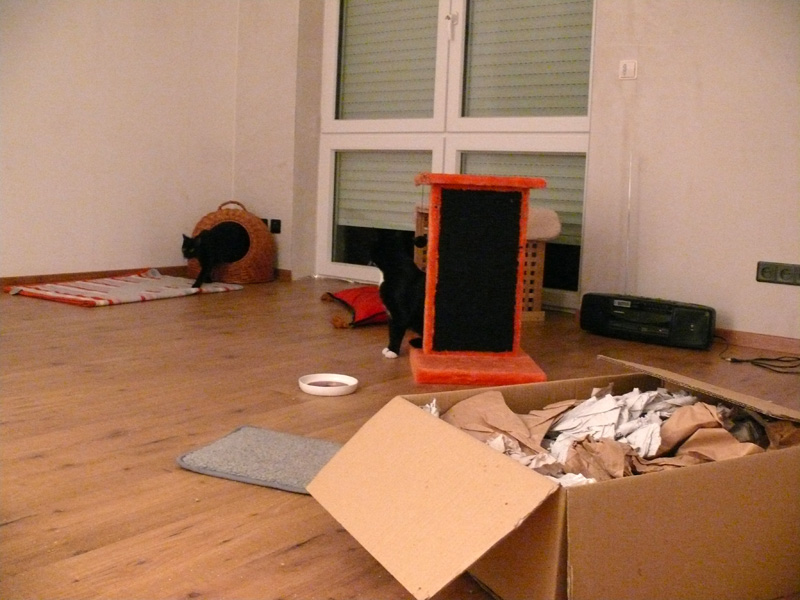 November 2010