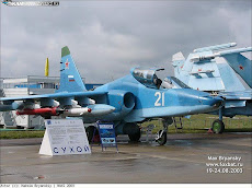 Sukhoi Su-39 (Su-25TM) NAVAL.a
