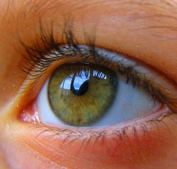 [eye.jpg]