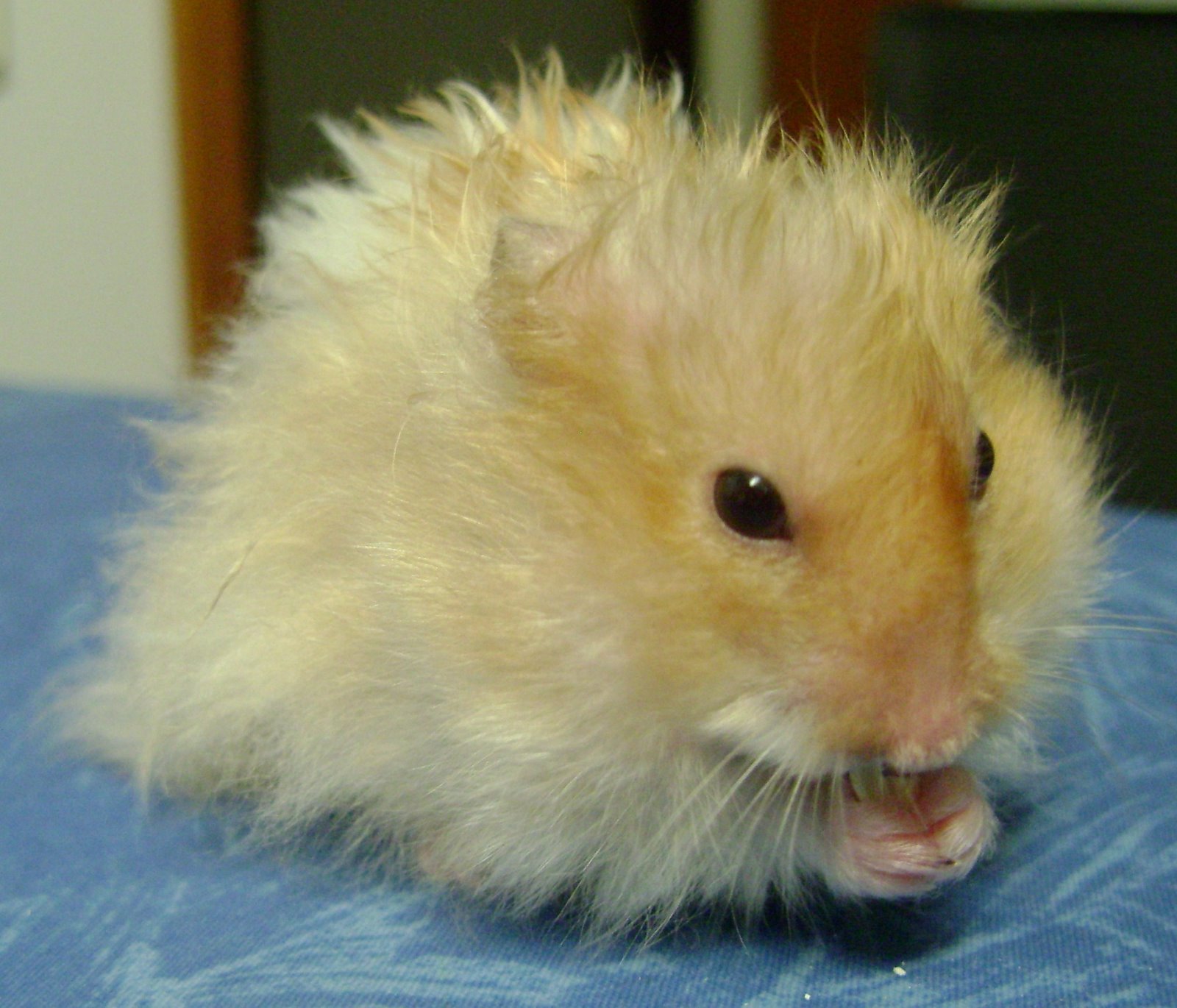 [Oliver-DSC01744.JPG]