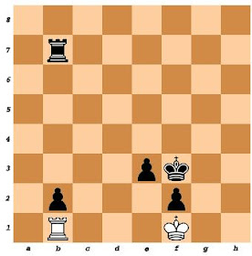 Regras e princípios do xadrez para todo bom capivara, by Paulo Fernandes  Braga