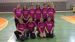 EQUIPO DE VOLEIBOL ALEVIN