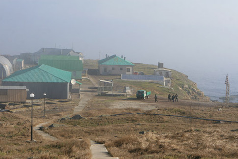 [pe+insula+serpilor+3.jpg]