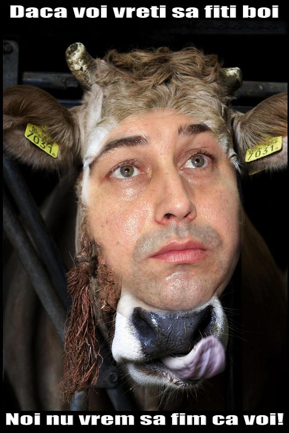 [Cristian+David+MAI+CIP.JPG]