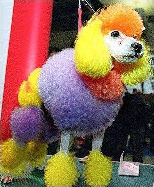 [Presa+libera+din+Romania.jpg]