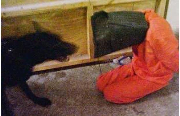 [Hood-dog-attack_abu+ghraib.jpg]