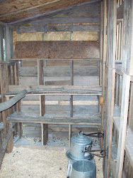pallet chicken coop nesting mama mountain boxes nest rear