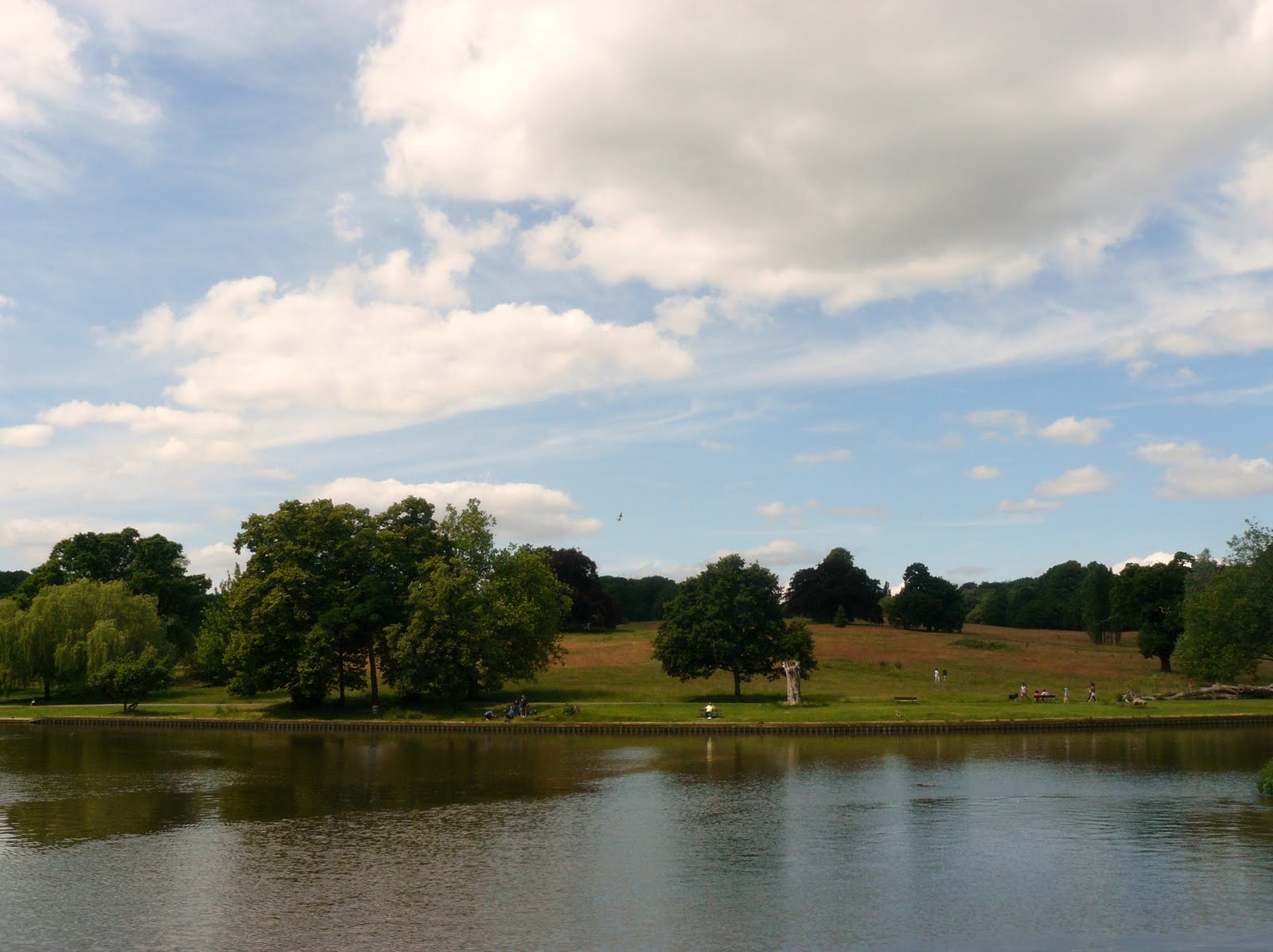 Martin Brookes Oakham Highgate Ponds London