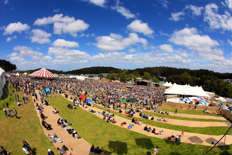 The Falls Music & Art Festival Event Background and History