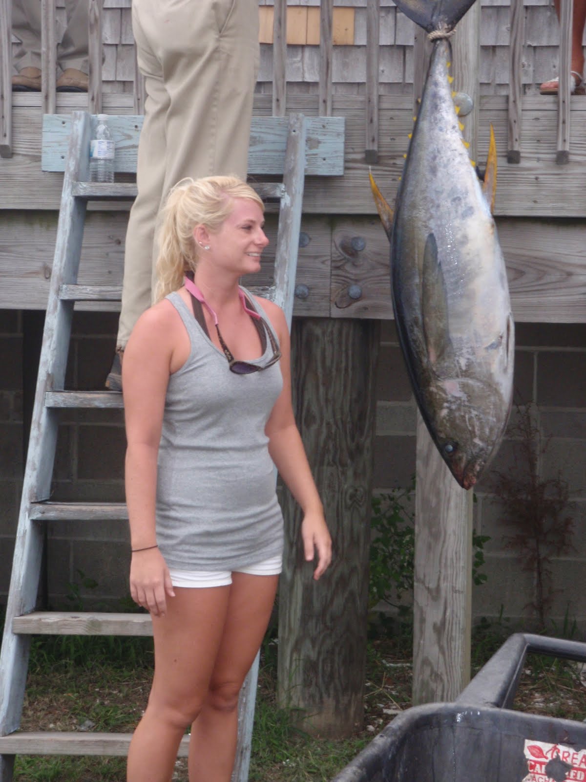 FishWach Wachapreague Fishing Report Wachapreague Chic Charter Tuna