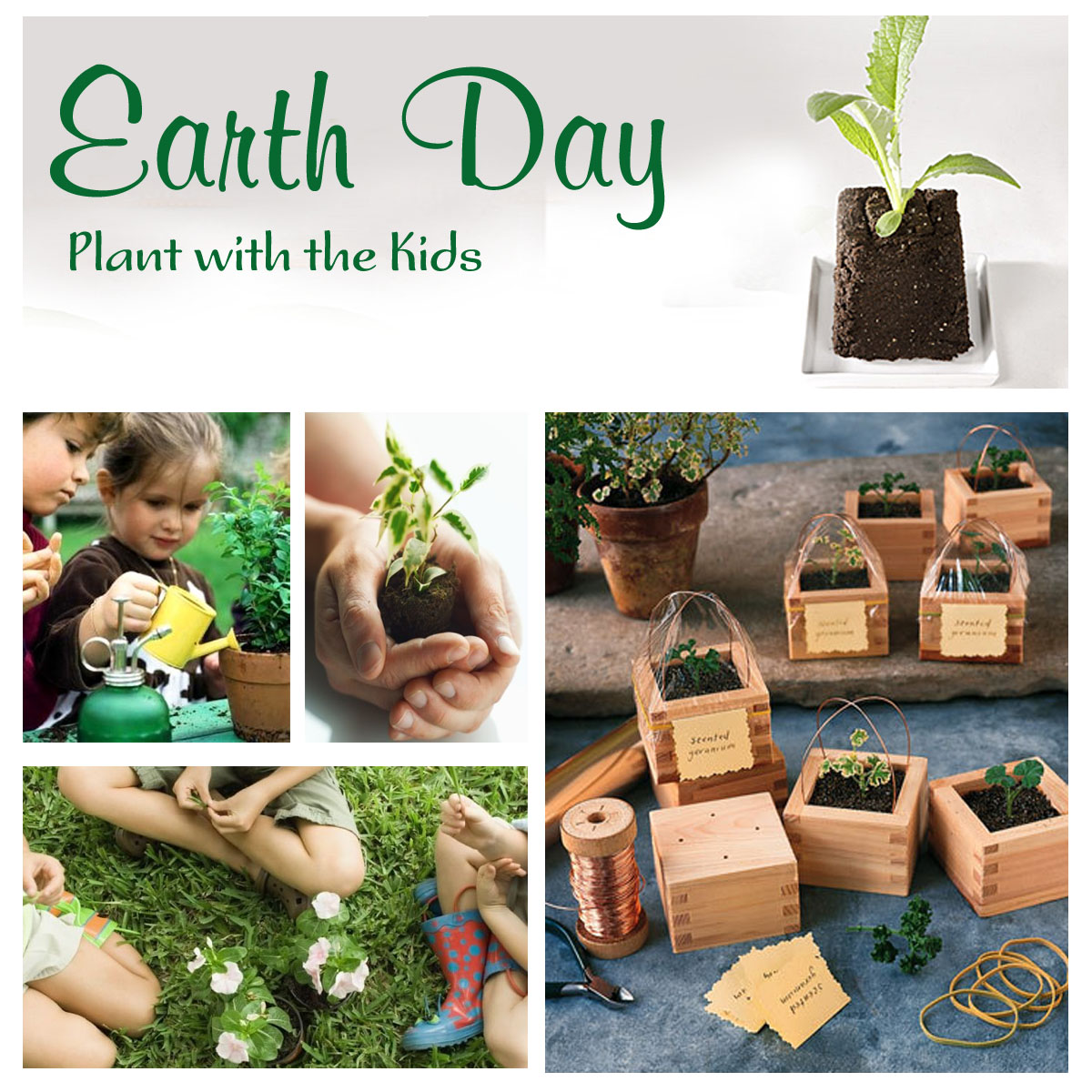 Everyday Is A Hollyday Earth Day Party Ideas everyday-is-a-hollyday-earth-day-party-ideas