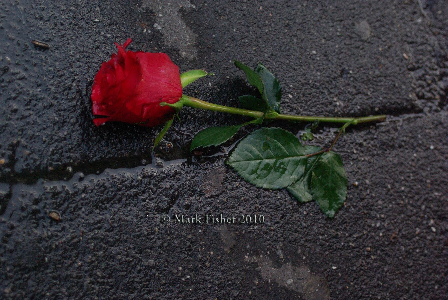mark fisher world photography mark fisher creative photographer mark fisher world photography mark fisher creative photographer