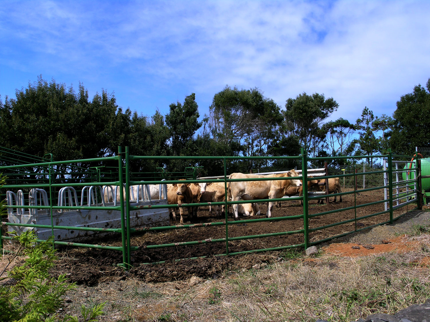 [P1010186-1.jpg]
