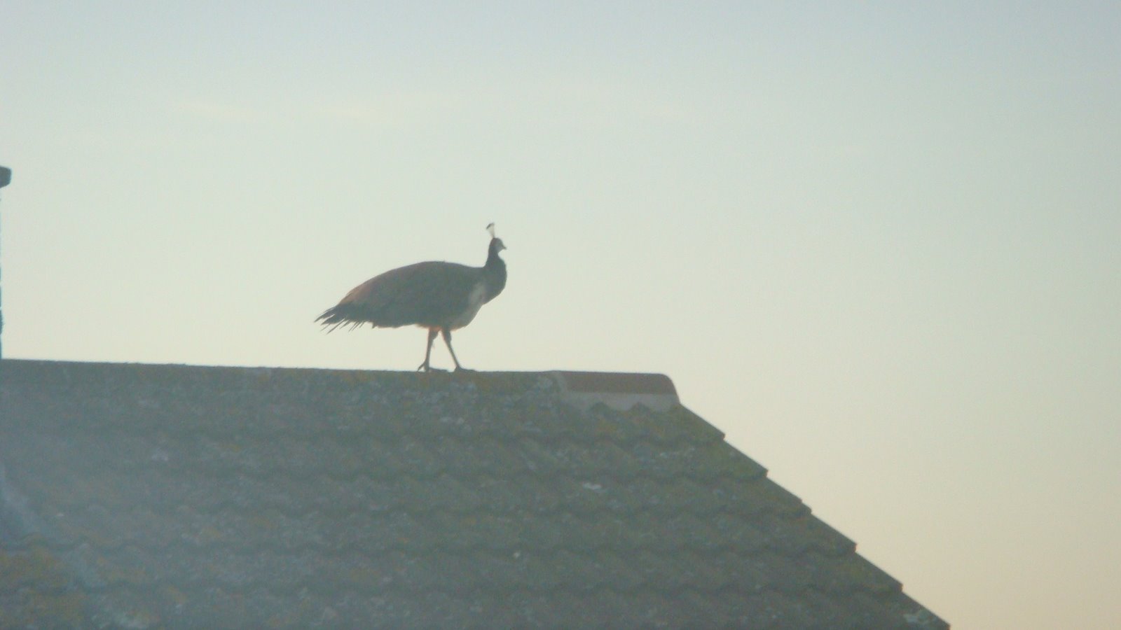 [Spotted+in+WB+5am+Early+Call-707011.JPG]