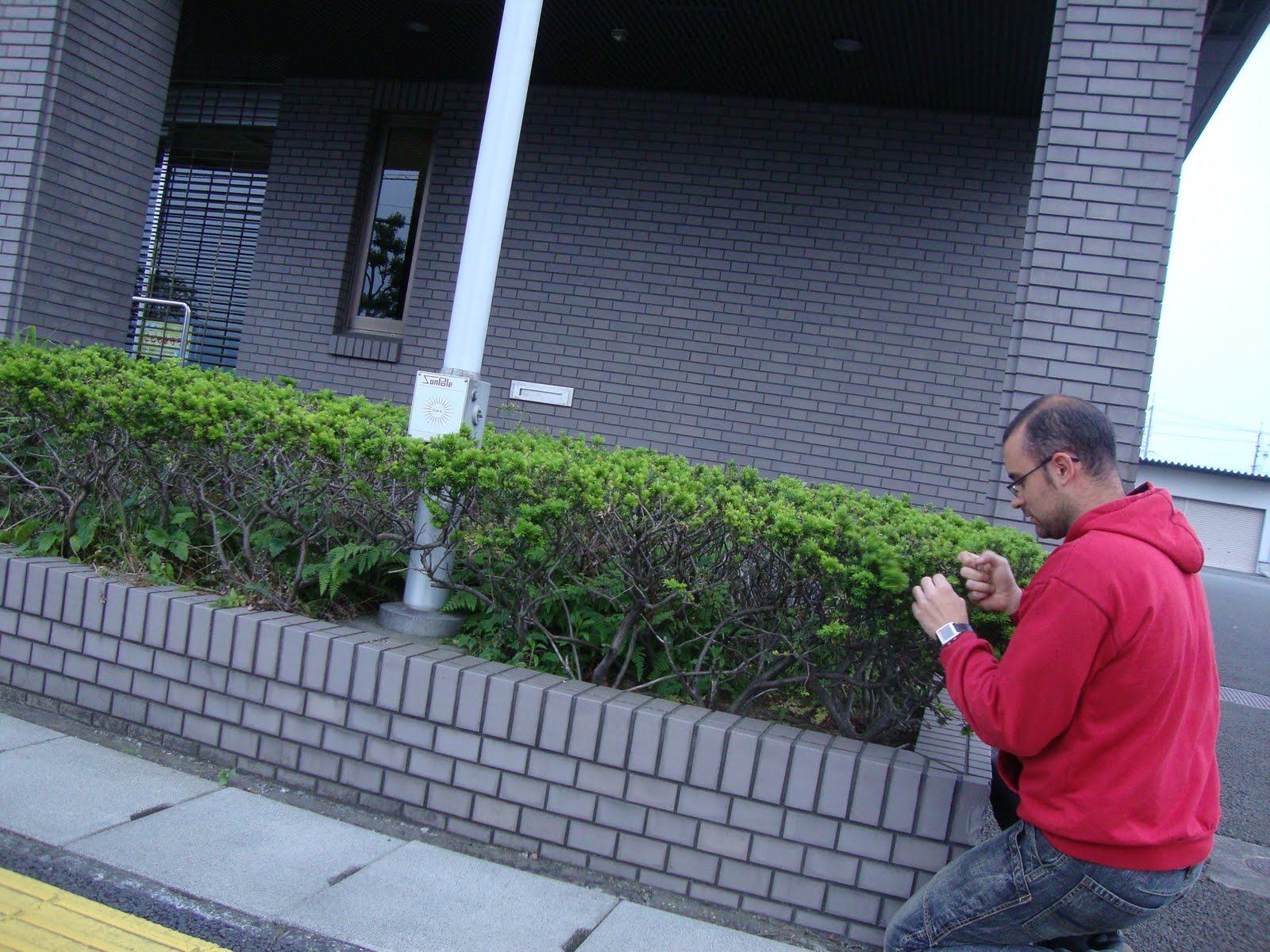 kingii: 29, explorando los alrededores