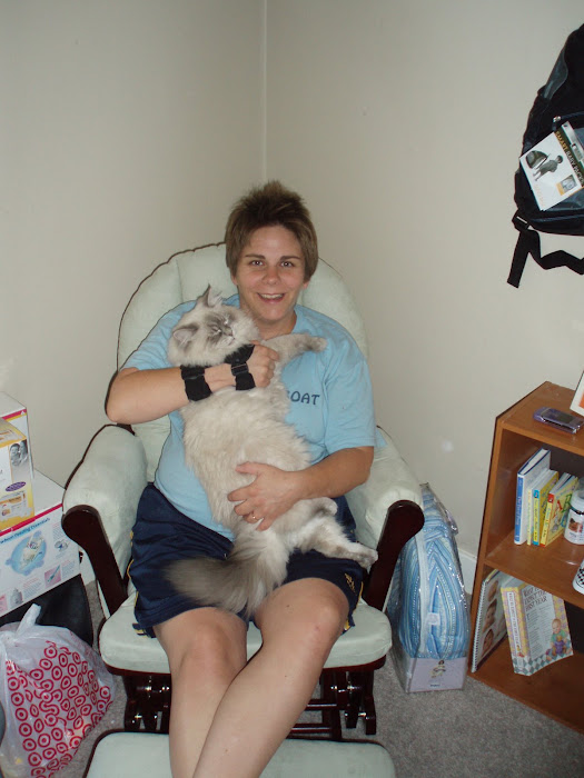 33 weeks with Loki J