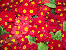 Red Flower Saidai