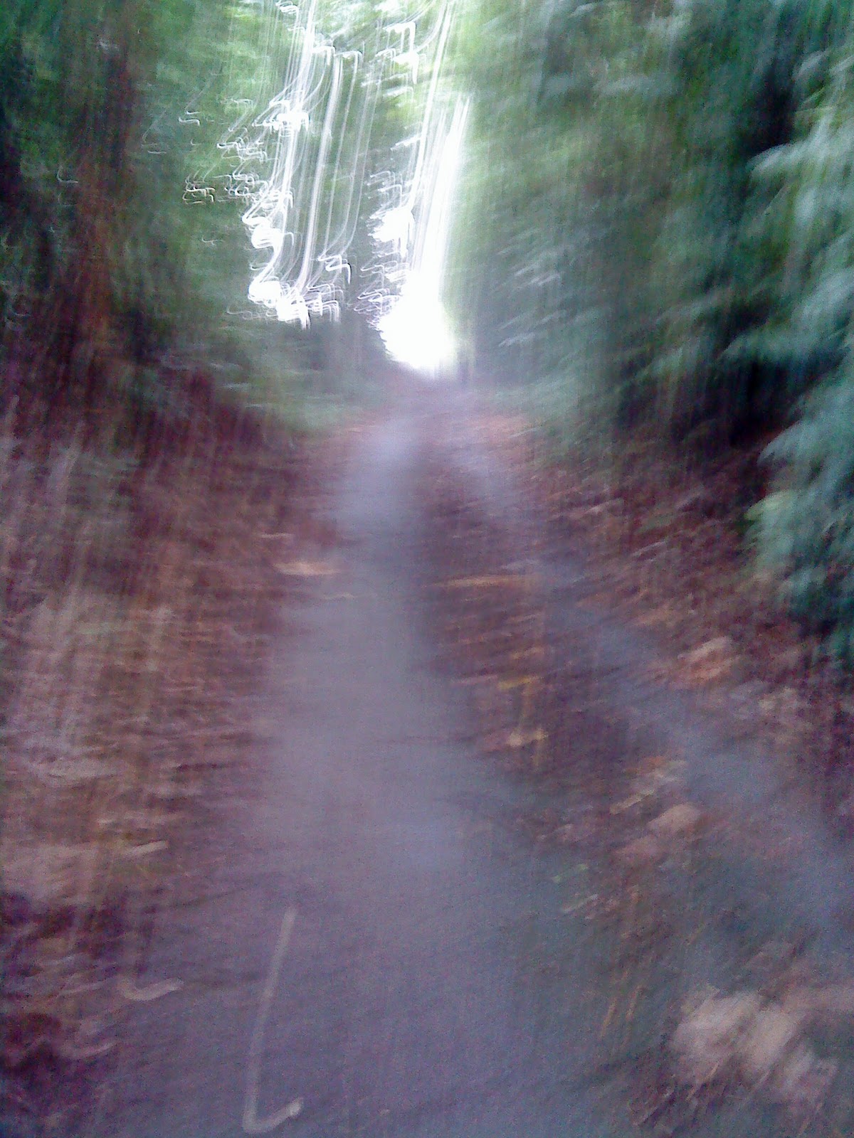 PIMCO: Kayuhan panjat Bukit Paling Tinggi dlm kebun