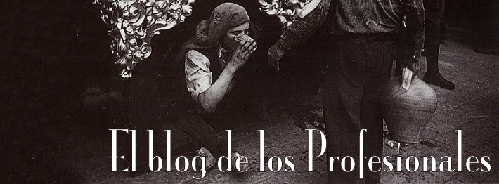 El blog de los Profesionales