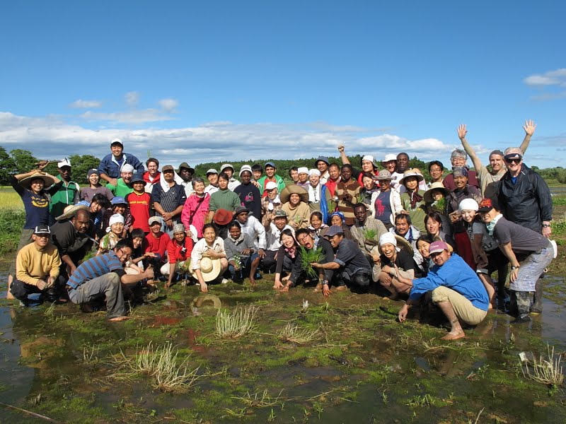 A Song of Japan - ARI Journal: ARI Rice Planting Day & Celebration