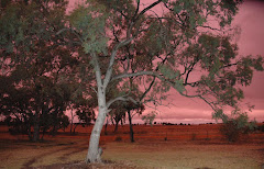 Wimmera Sunset