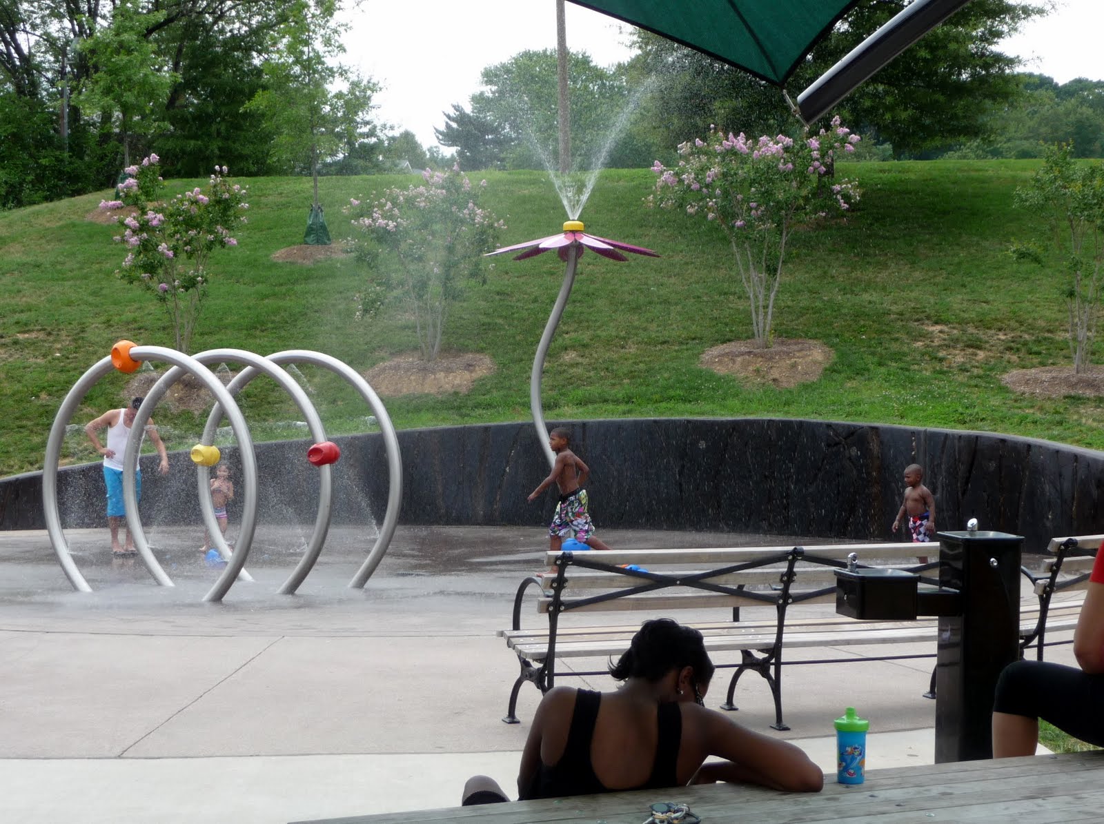 Ben's Journal An Arlington Find The Sprayground